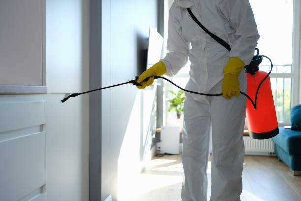 Forensic Mold Investigation in Aurora, OH