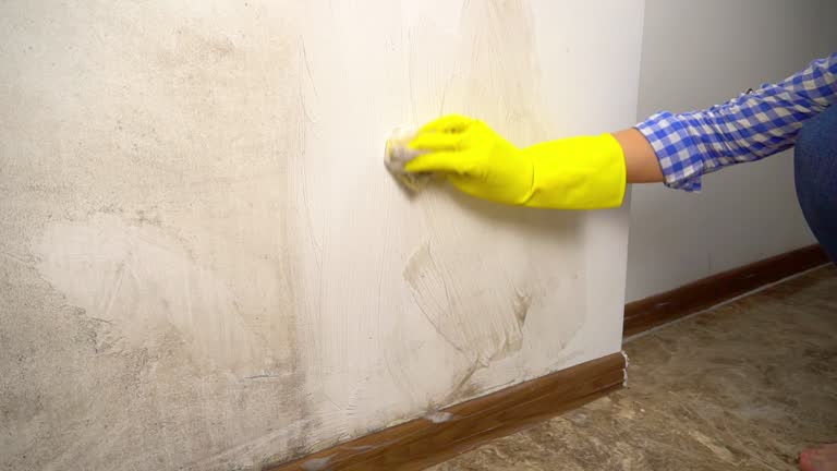 Best Mold Odor Removal Services  in Aurora, OH