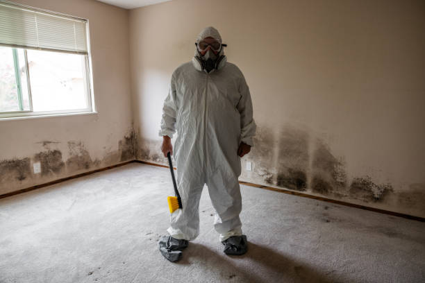 Best Mold Damage Restoration  in Aurora, OH